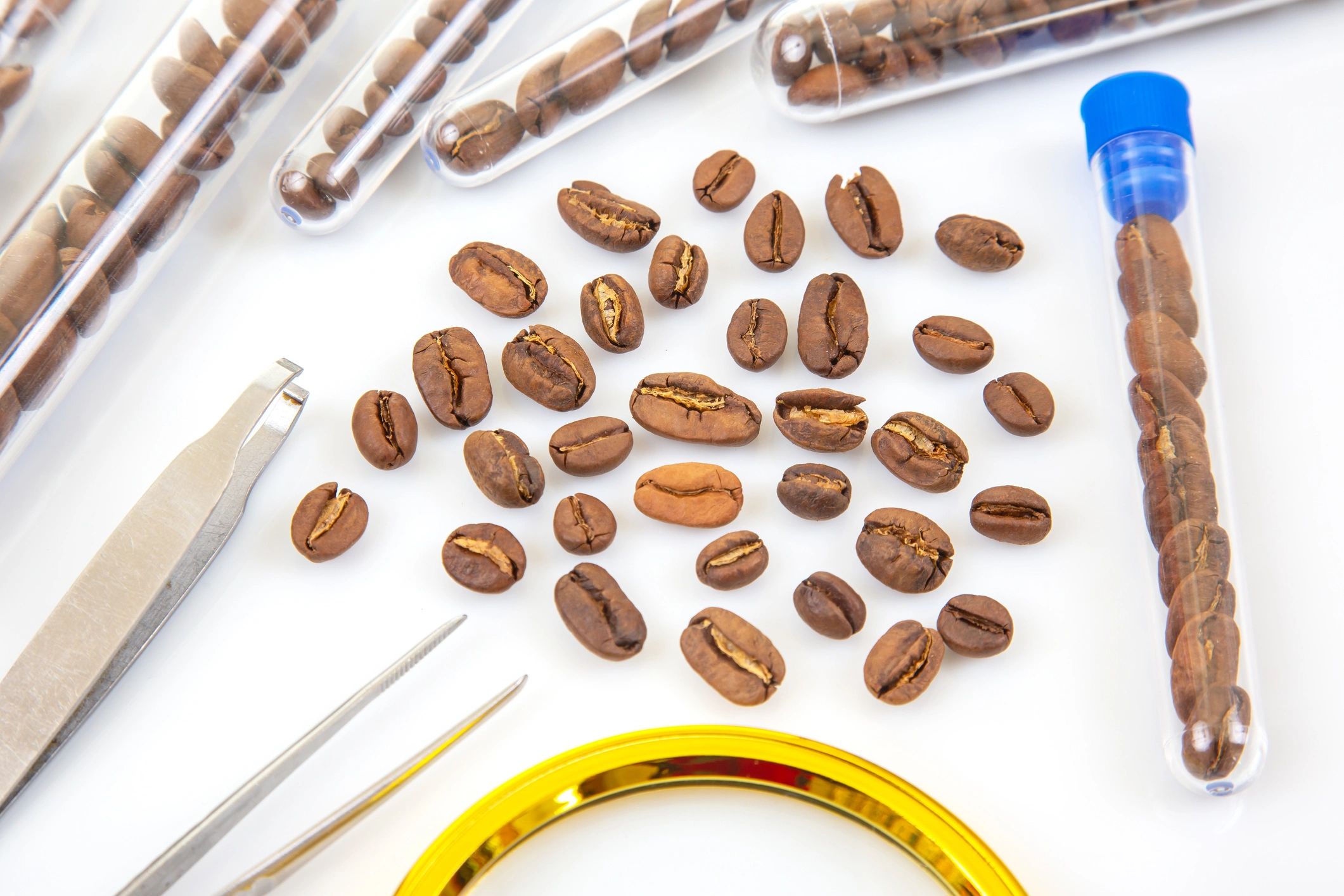 Coffee quality control in laboratory setting