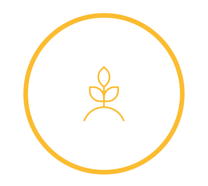 growers-km0coffee